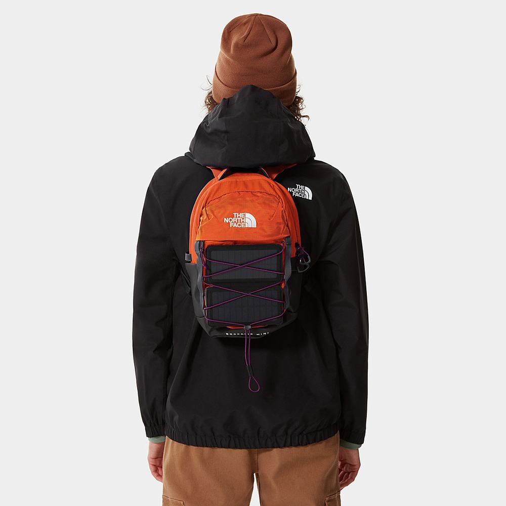 Batohy The North Face BOREALIS MINI Panske Červené Oranžové Nachový | DUS-694250