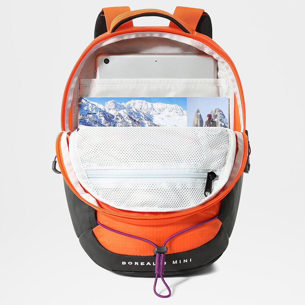 Batohy The North Face BOREALIS MINI Panske Červené Oranžové Nachový | DUS-694250