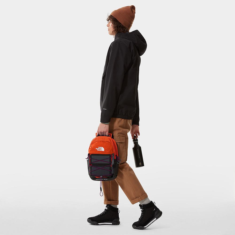 Batohy The North Face BOREALIS MINI Panske Červené Oranžové Nachový | DUS-694250