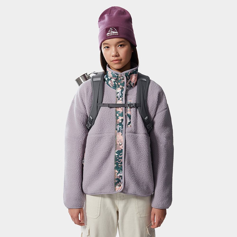 Batohy The North Face Jester Damske Siva Ruzove | JWU-348926