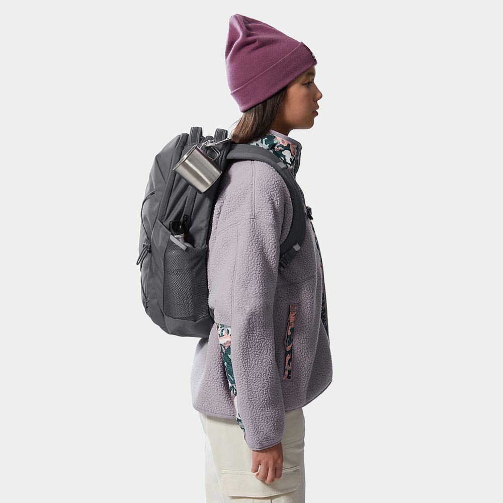 Batohy The North Face Jester Damske Siva Ruzove | JWU-348926