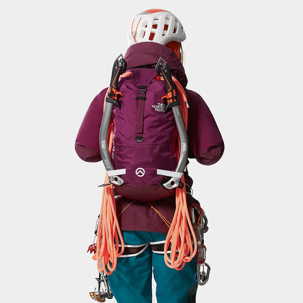 Batohy The North Face VERTO 27 LITRE Damske Nachový | EJX-705461