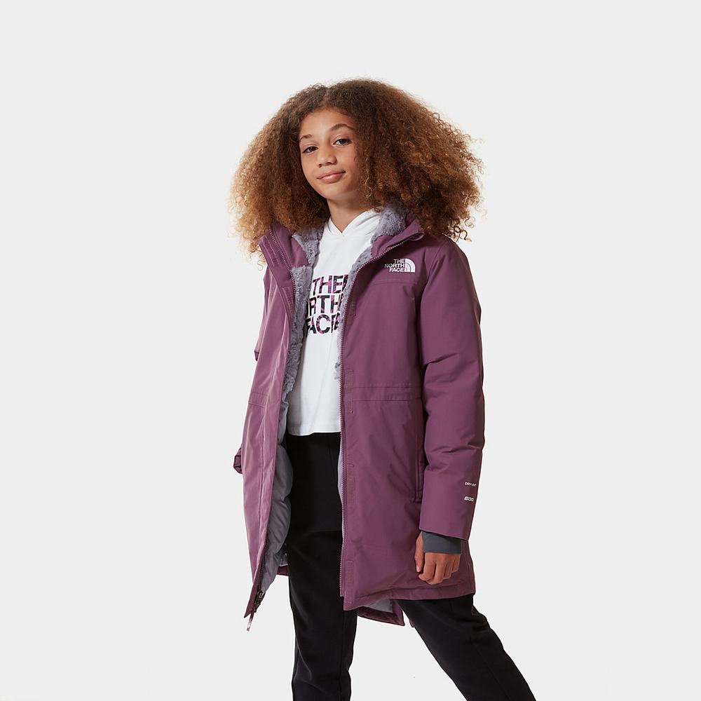 Bundy Parka The North Face Arctic Swirl DOWN Dievcenske Nachový | FPB-124398