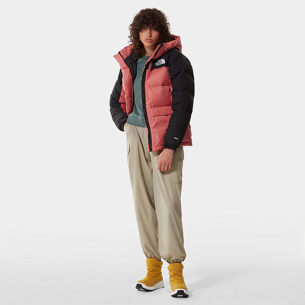 Bundy Parka The North Face Himalayan Damske Ruzove | PUG-593817