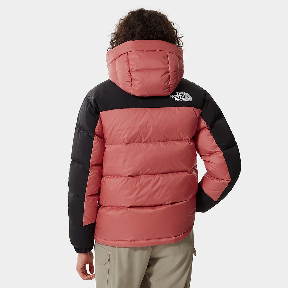 Bundy Parka The North Face Himalayan Damske Ruzove | PUG-593817