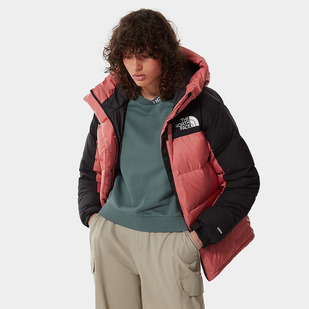 Bundy Parka The North Face Himalayan Damske Ruzove | PUG-593817