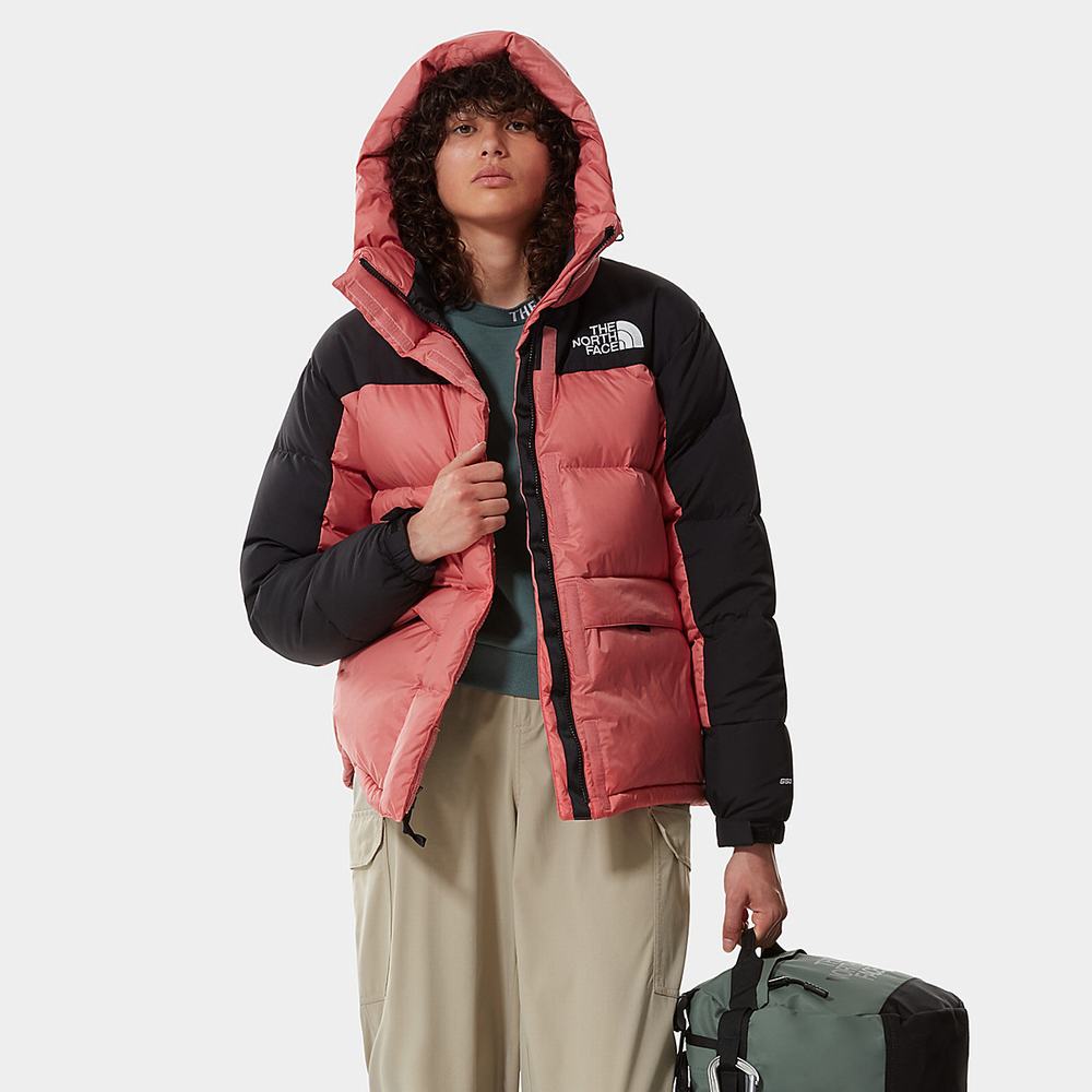Bundy Parka The North Face Himalayan Damske Ruzove | PUG-593817