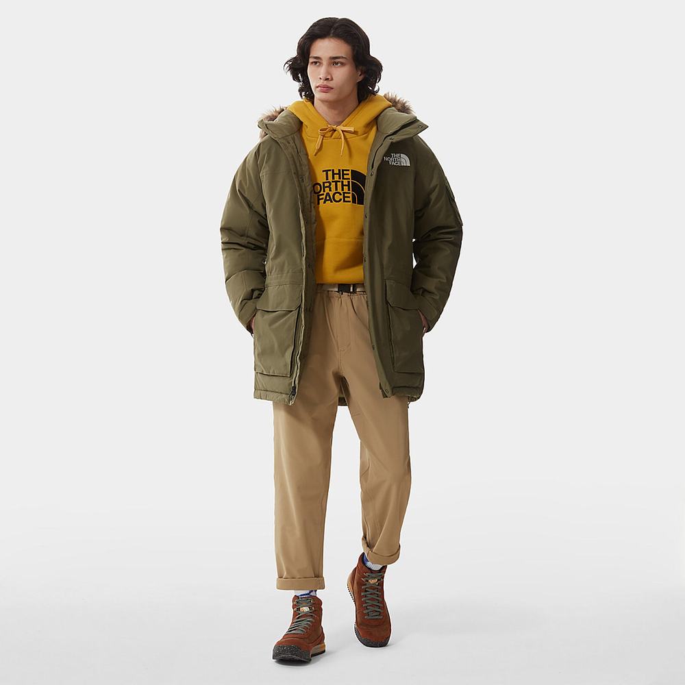 Bundy Parka The North Face Mcmurdo Jacket Panske Olivovo Zelená Zelene | GTS-938012