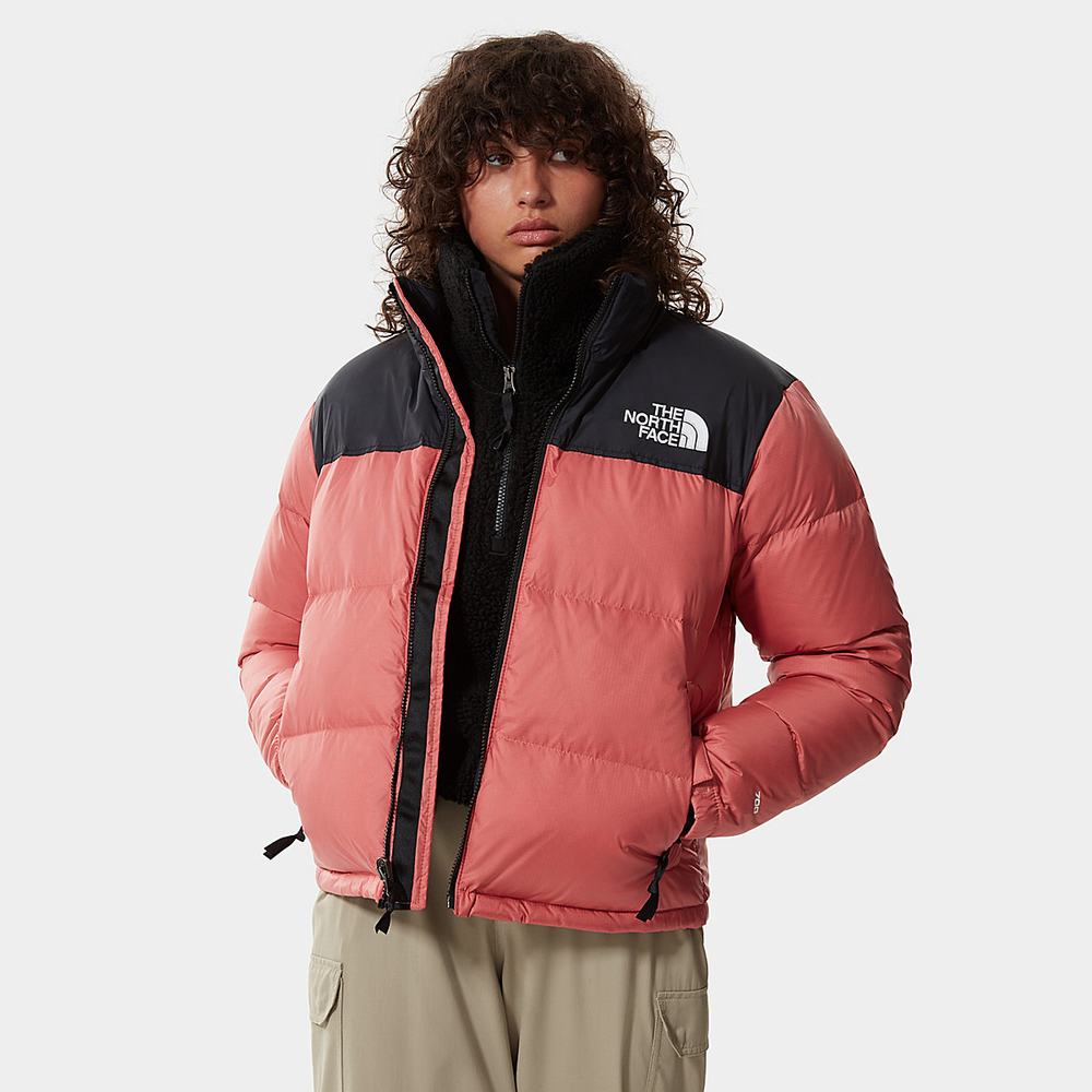 Bundy The North Face 1996 Retro Nuptse Damske Ruzove | PNM-217609