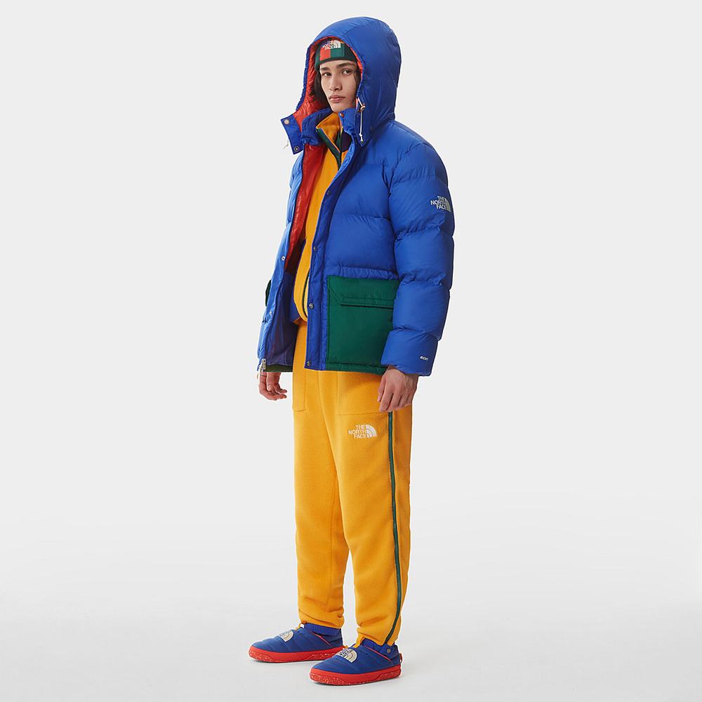 Bundy The North Face COLOUR BLOCK SIERRA DOWN Panske Modre Zelene | AIE-196742