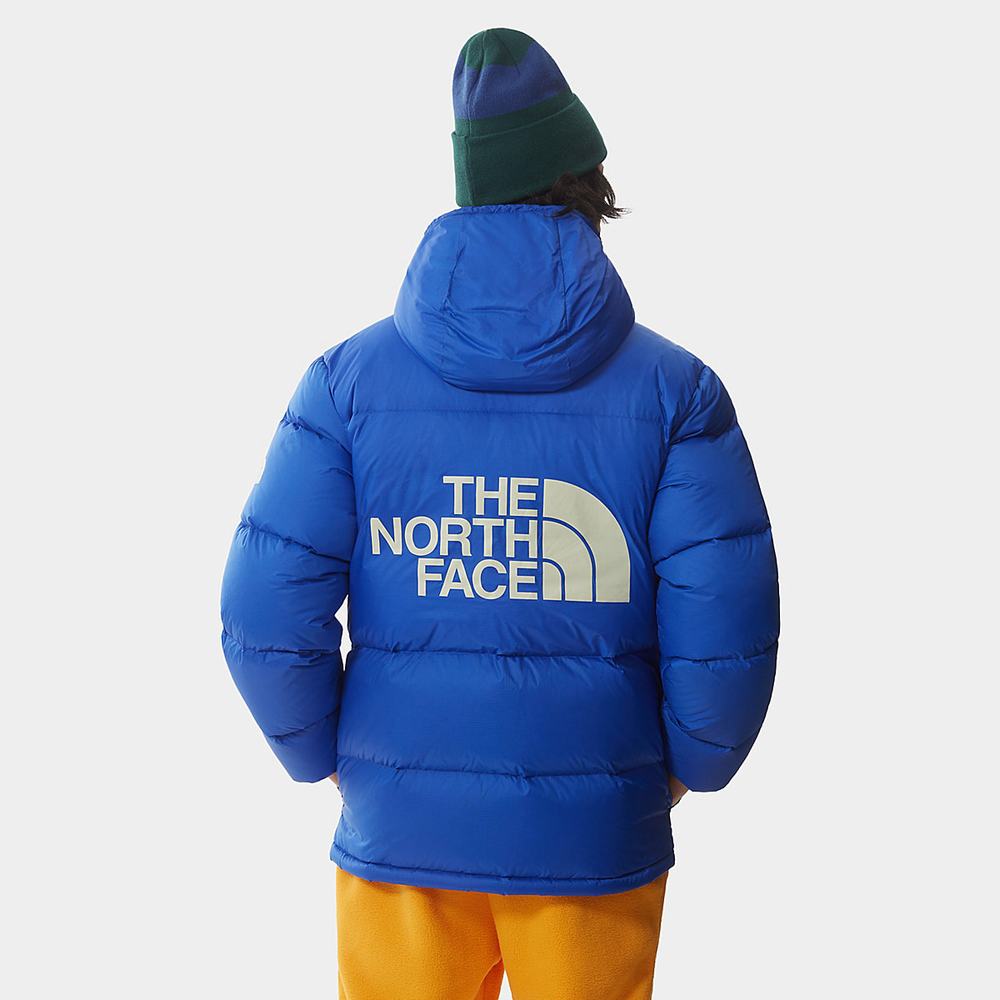 Bundy The North Face COLOUR BLOCK SIERRA DOWN Panske Modre Zelene | AIE-196742