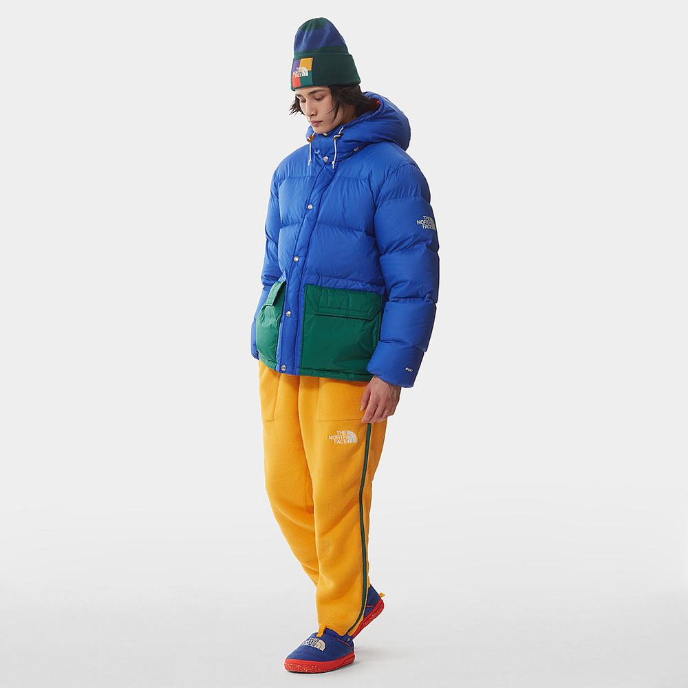 Bundy The North Face COLOUR BLOCK SIERRA DOWN Panske Modre Zelene | AIE-196742