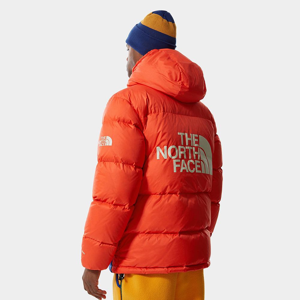 Bundy The North Face COLOUR BLOCK SIERRA DOWN Panske Modre Zlate | HML-501762