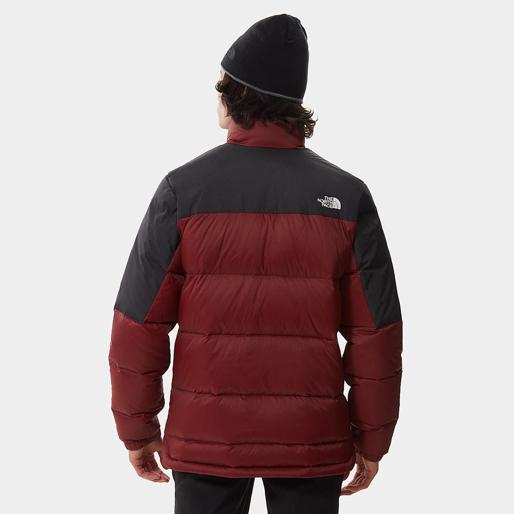Bundy The North Face Diablo Panske Tmavo Červené Čierne | JRY-935024
