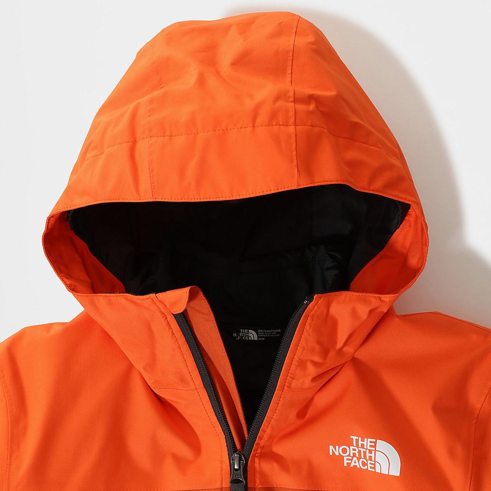 Bundy The North Face Freedom Triclimate Chlapcenske Červené Oranžové | STR-017892