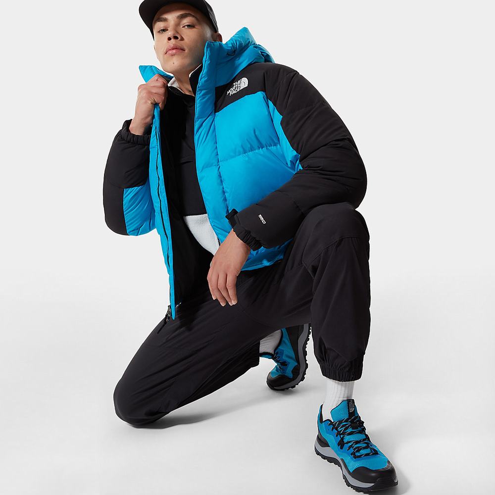 Bundy The North Face Himalayan Panske Modre | JIU-502619