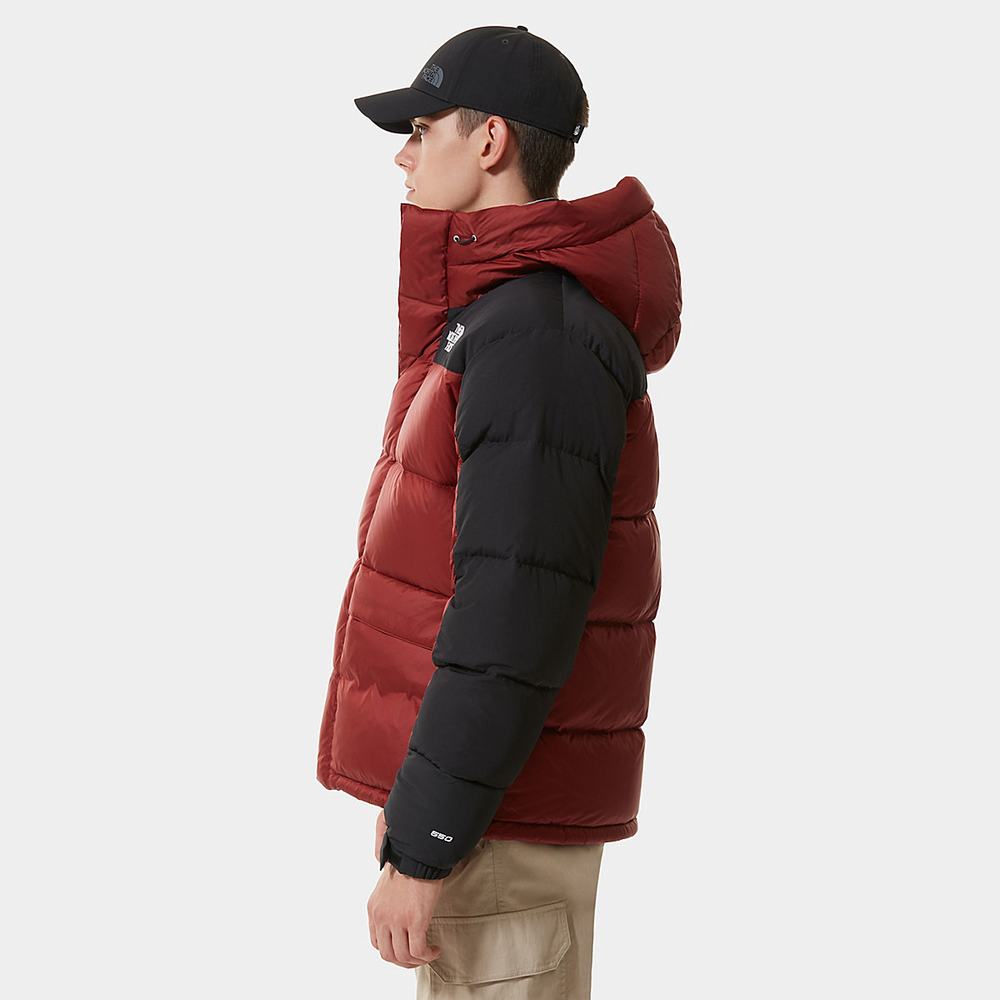 Bundy The North Face Himalayan Panske Tmavo Červené | CDR-843716