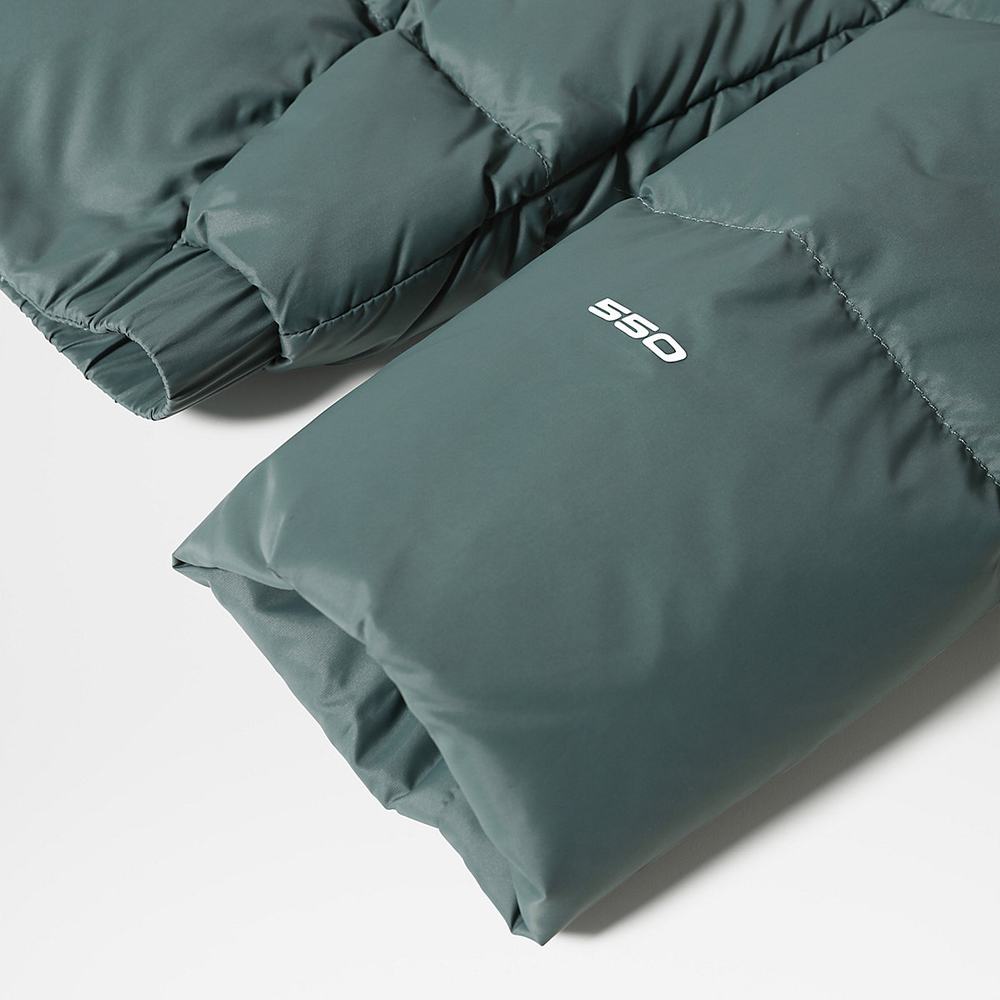 Bundy The North Face Hyalite Damske Zelene | ZKY-816473