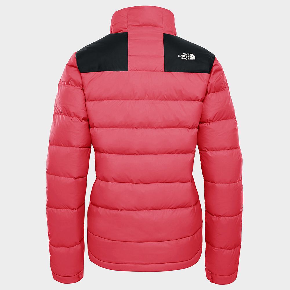 Bundy The North Face Massif Damske Ruzove | TKL-487310