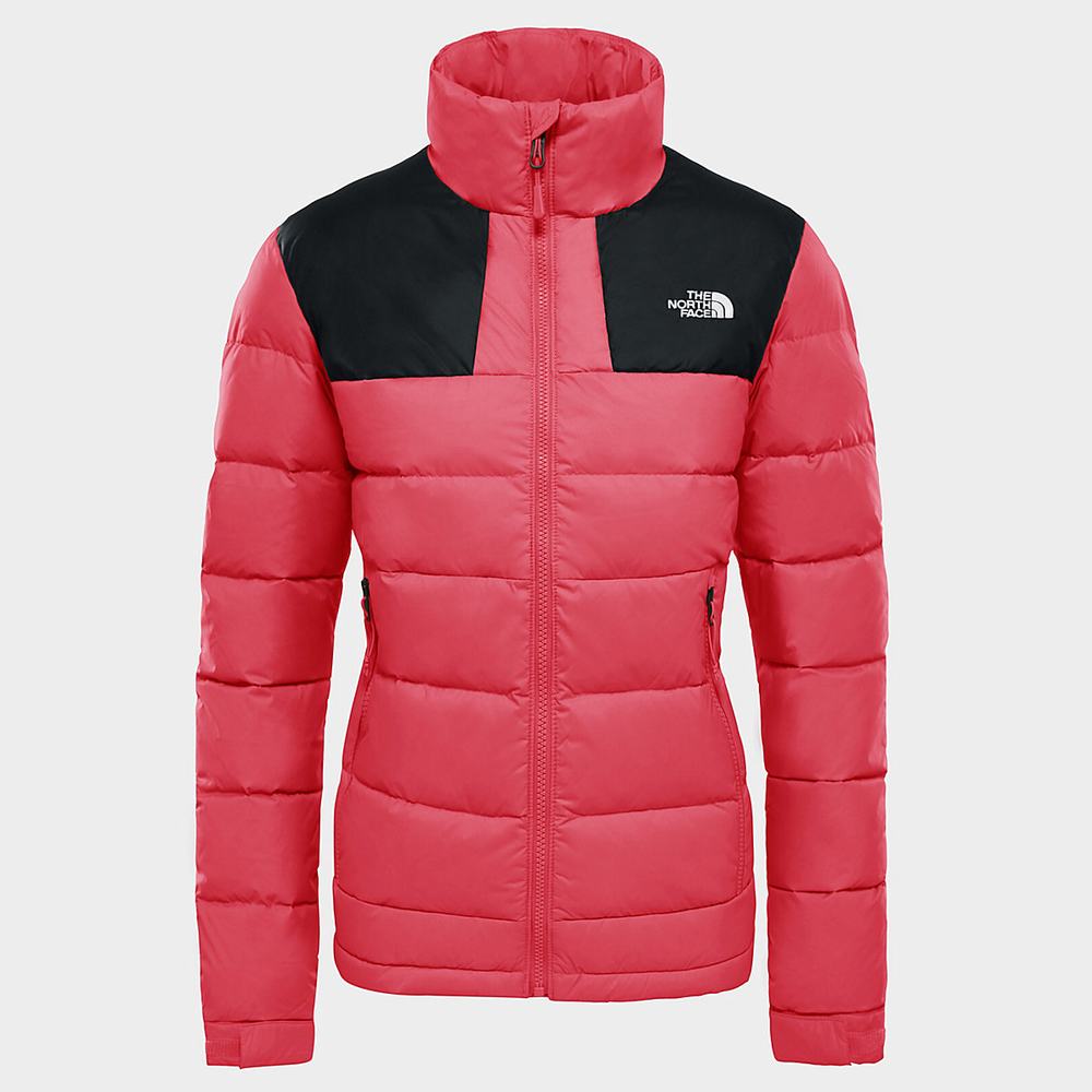 Bundy The North Face Massif Damske Ruzove | TKL-487310