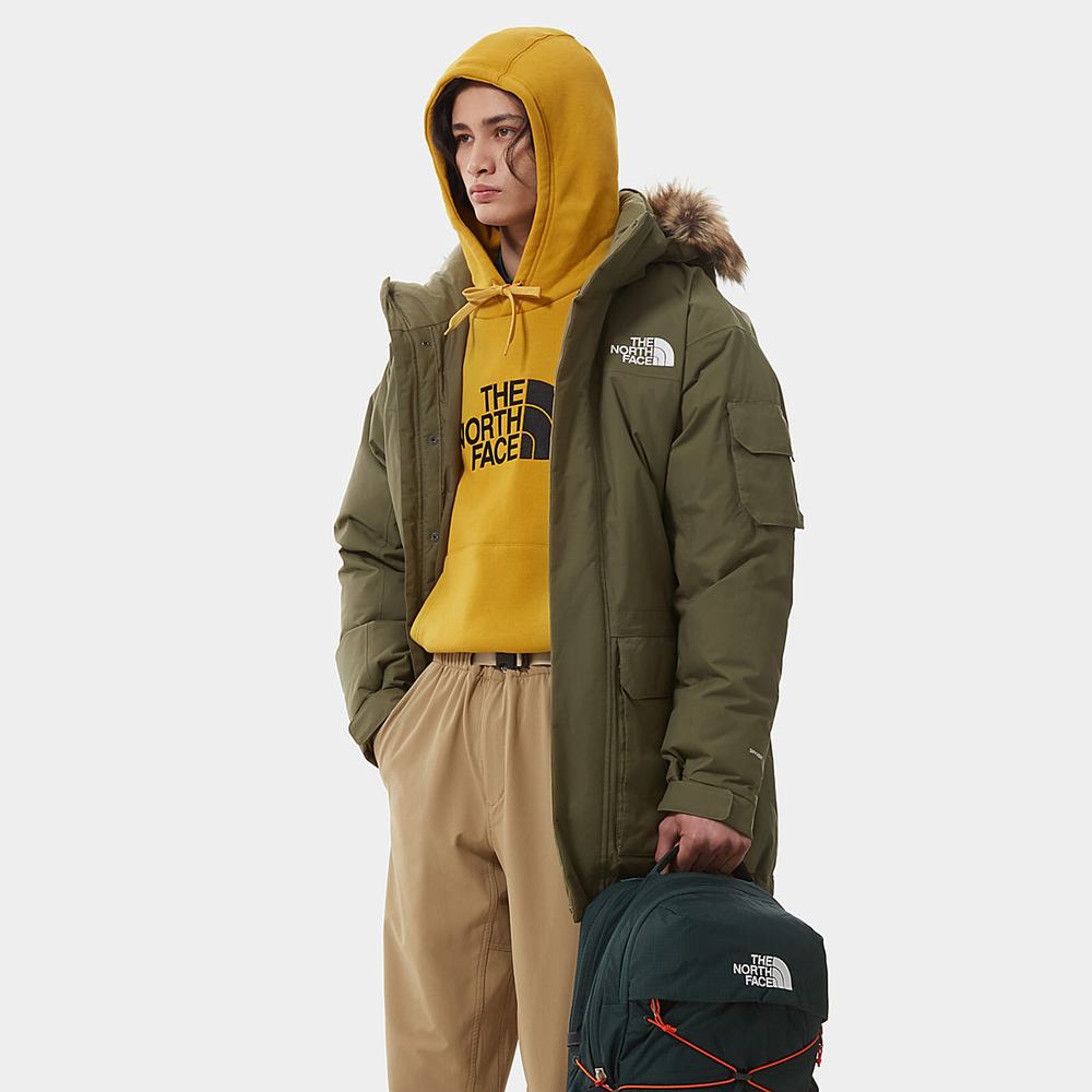 Bundy The North Face Mcmurdo Panske Olivovo Zelená Zelene | EVQ-823607