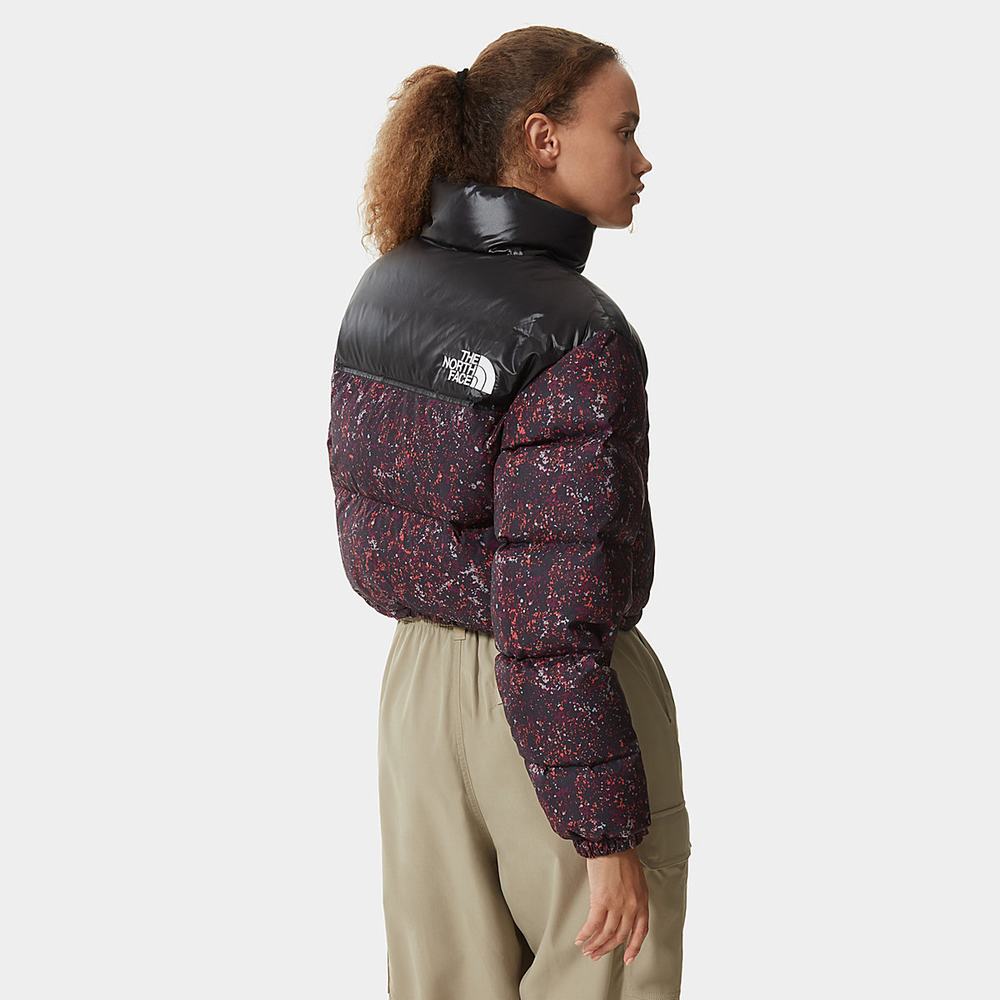Bundy The North Face Nuptse Kratke Damske Nachový | EGB-472589