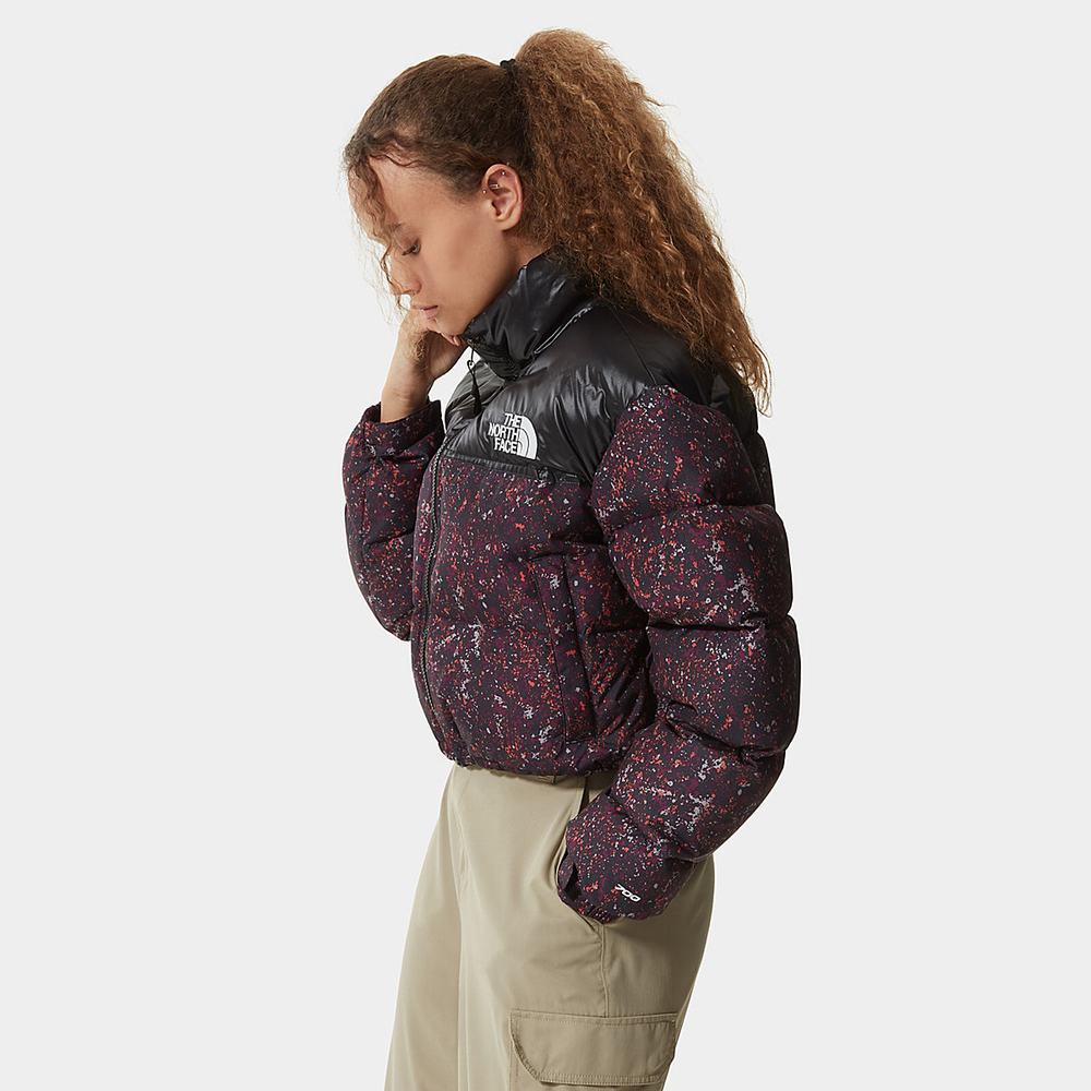 Bundy The North Face Nuptse Kratke Damske Nachový | EGB-472589