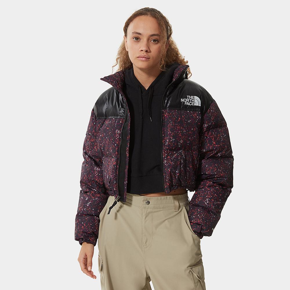 Bundy The North Face Nuptse Kratke Damske Nachový | EGB-472589