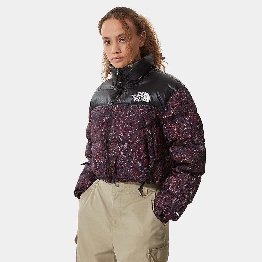 Bundy The North Face Nuptse Kratke Damske Nachový | EGB-472589