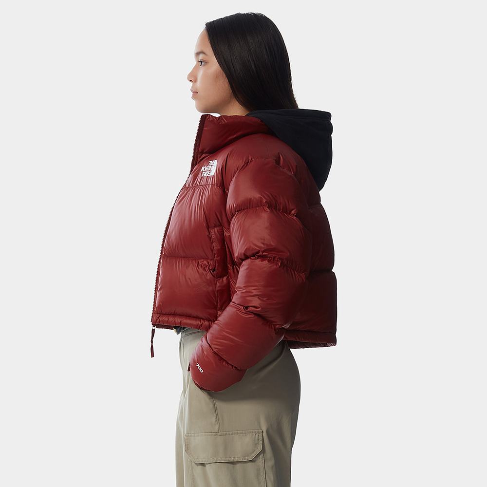 Bundy The North Face Nuptse Kratke Damske Tmavo Červené | HVQ-697140