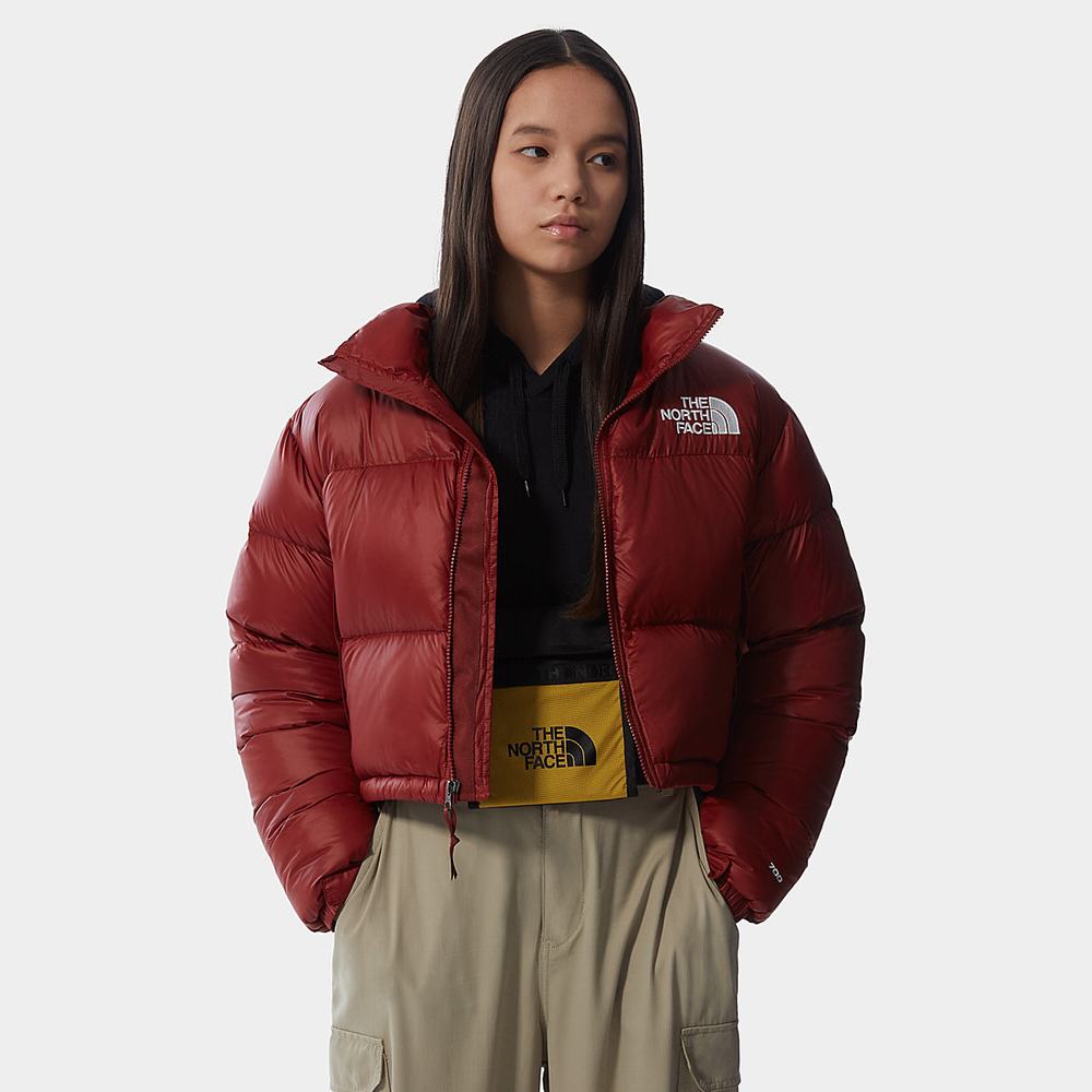 Bundy The North Face Nuptse Kratke Damske Tmavo Červené | HVQ-697140
