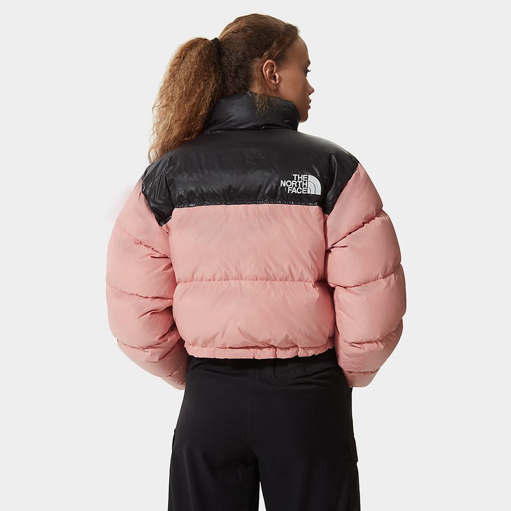 Bundy The North Face Nuptse Kratke Damske Ruzove Hnede | MVE-182304