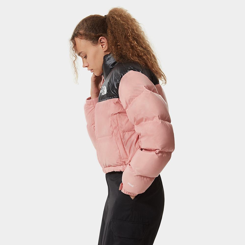Bundy The North Face Nuptse Kratke Damske Ruzove Hnede | MVE-182304