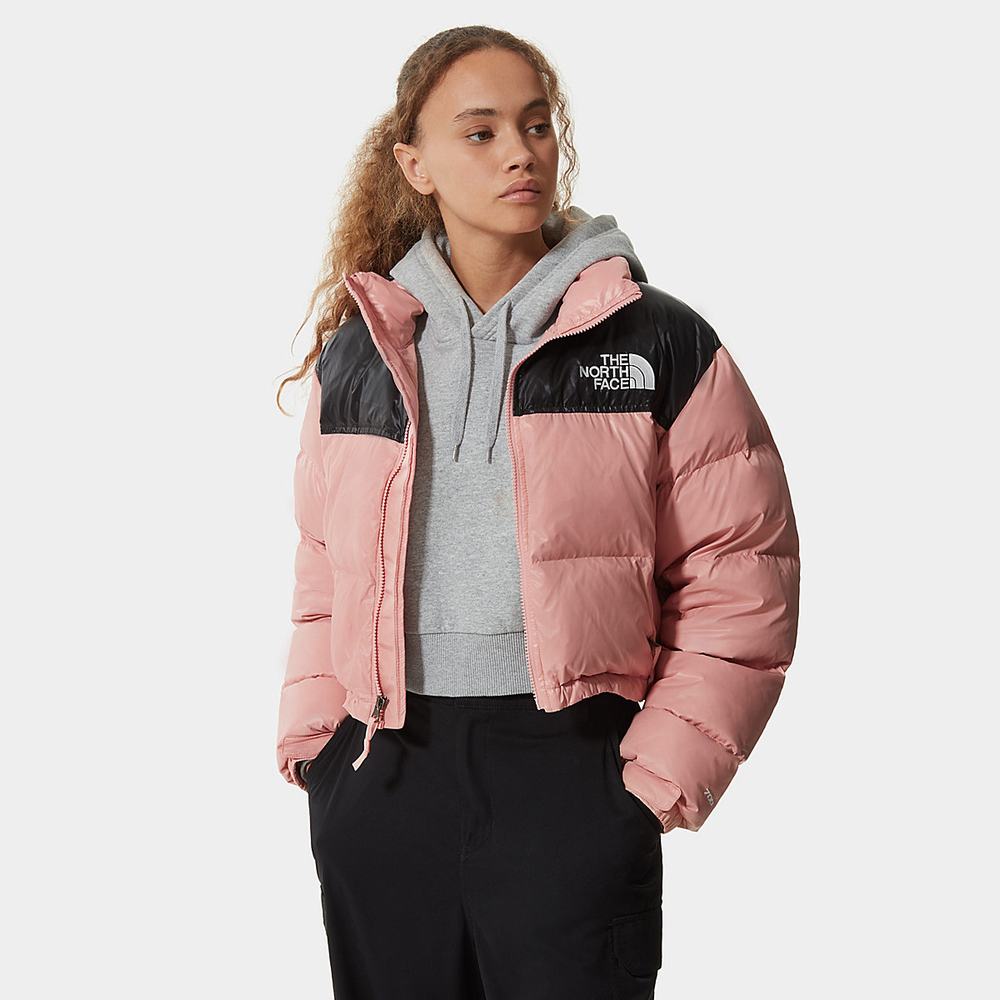 Bundy The North Face Nuptse Kratke Damske Ruzove Hnede | MVE-182304