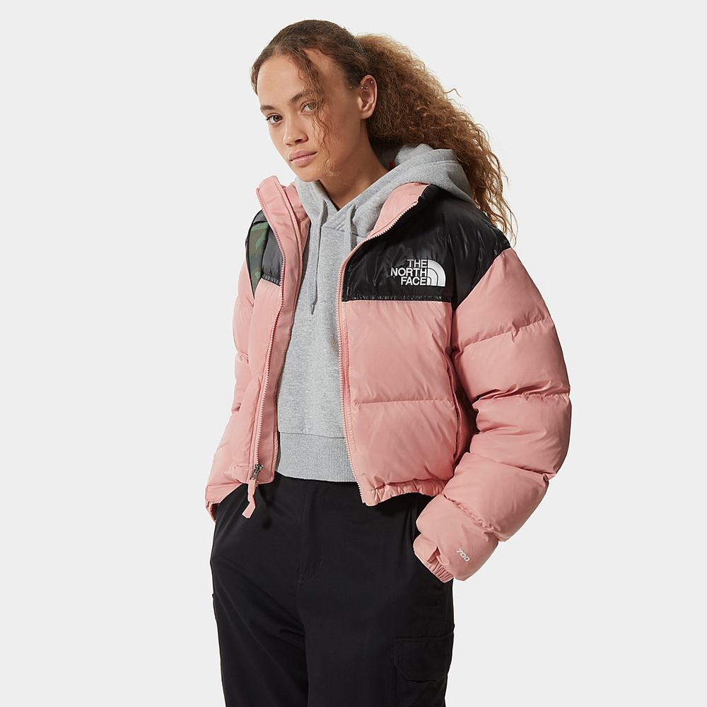 Bundy The North Face Nuptse Kratke Damske Ruzove Hnede | MVE-182304