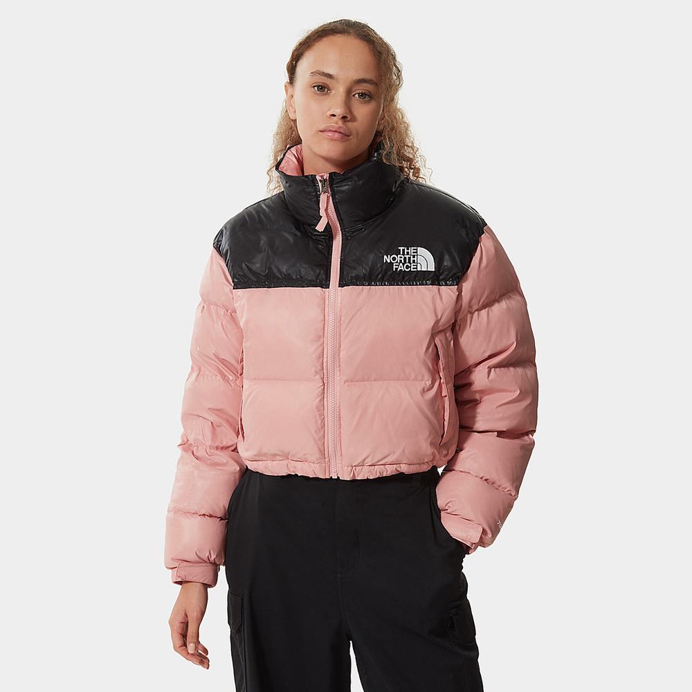 Bundy The North Face Nuptse Kratke Damske Ruzove Hnede | MVE-182304