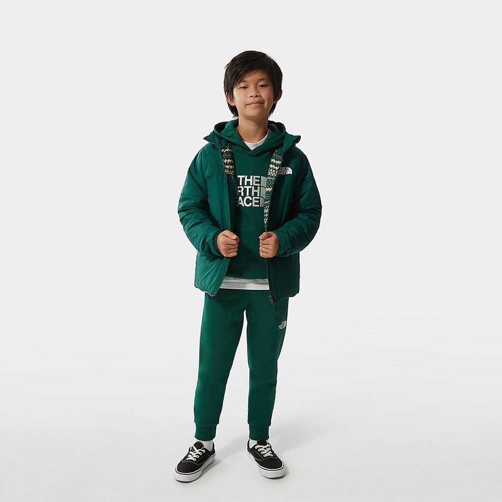 Bundy The North Face Printed Reversible Perrito Insulated Chlapcenske Zelene | NVB-057439