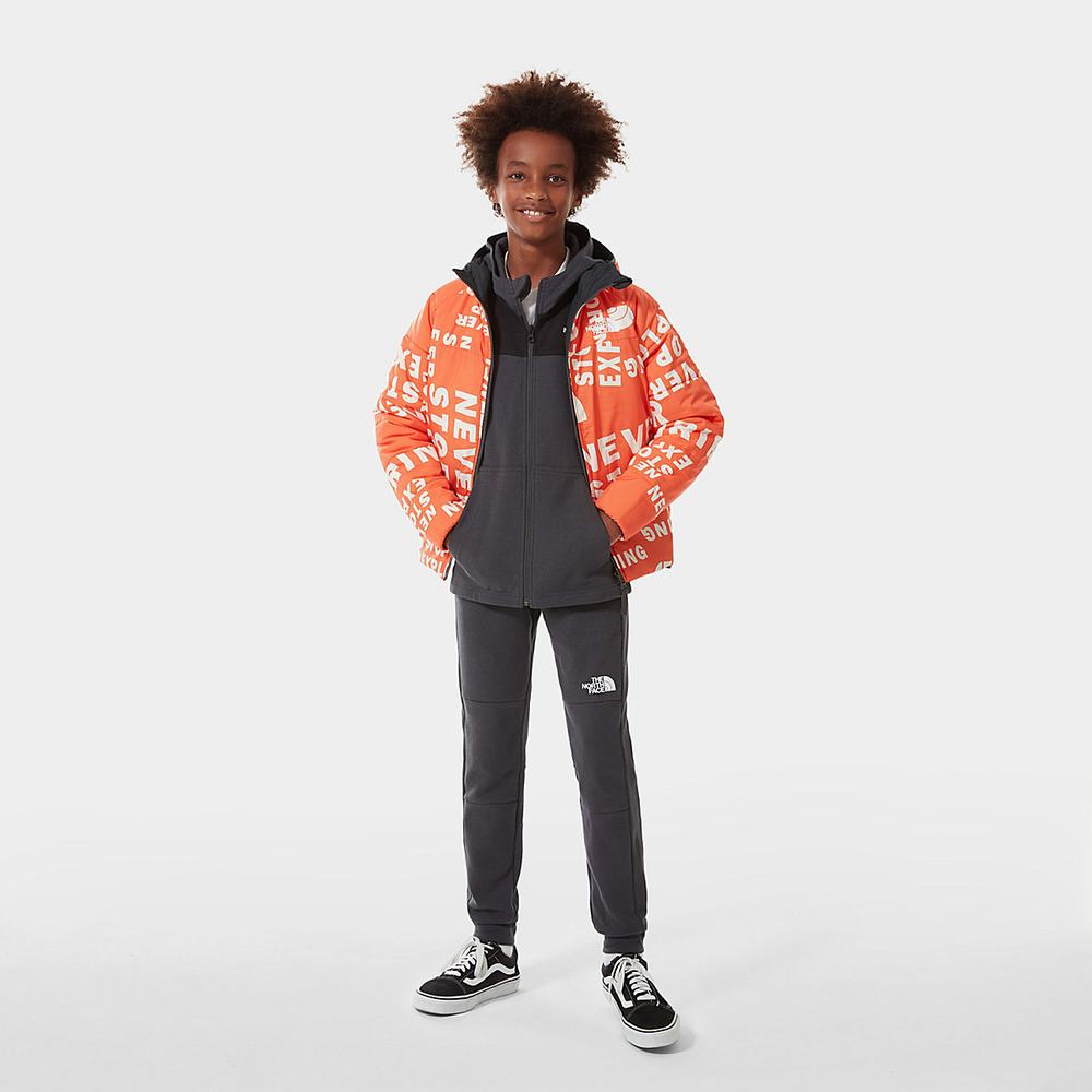 Bundy The North Face Printed Reversible Perrito Insulated Chlapcenske Červené Siva Oranžové | ZVO-401598