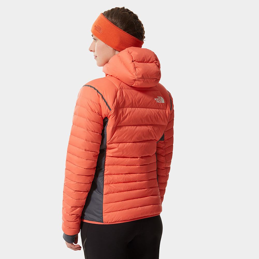 Bundy The North Face Speedtour Damske Oranžové | ELC-184536