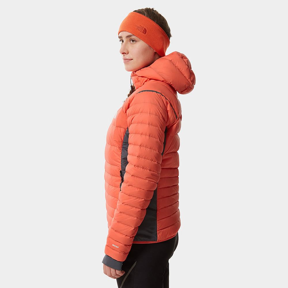Bundy The North Face Speedtour Damske Oranžové | ELC-184536
