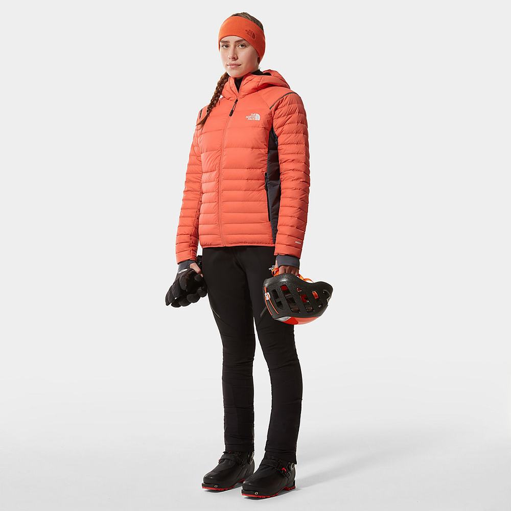 Bundy The North Face Speedtour Damske Oranžové | ELC-184536