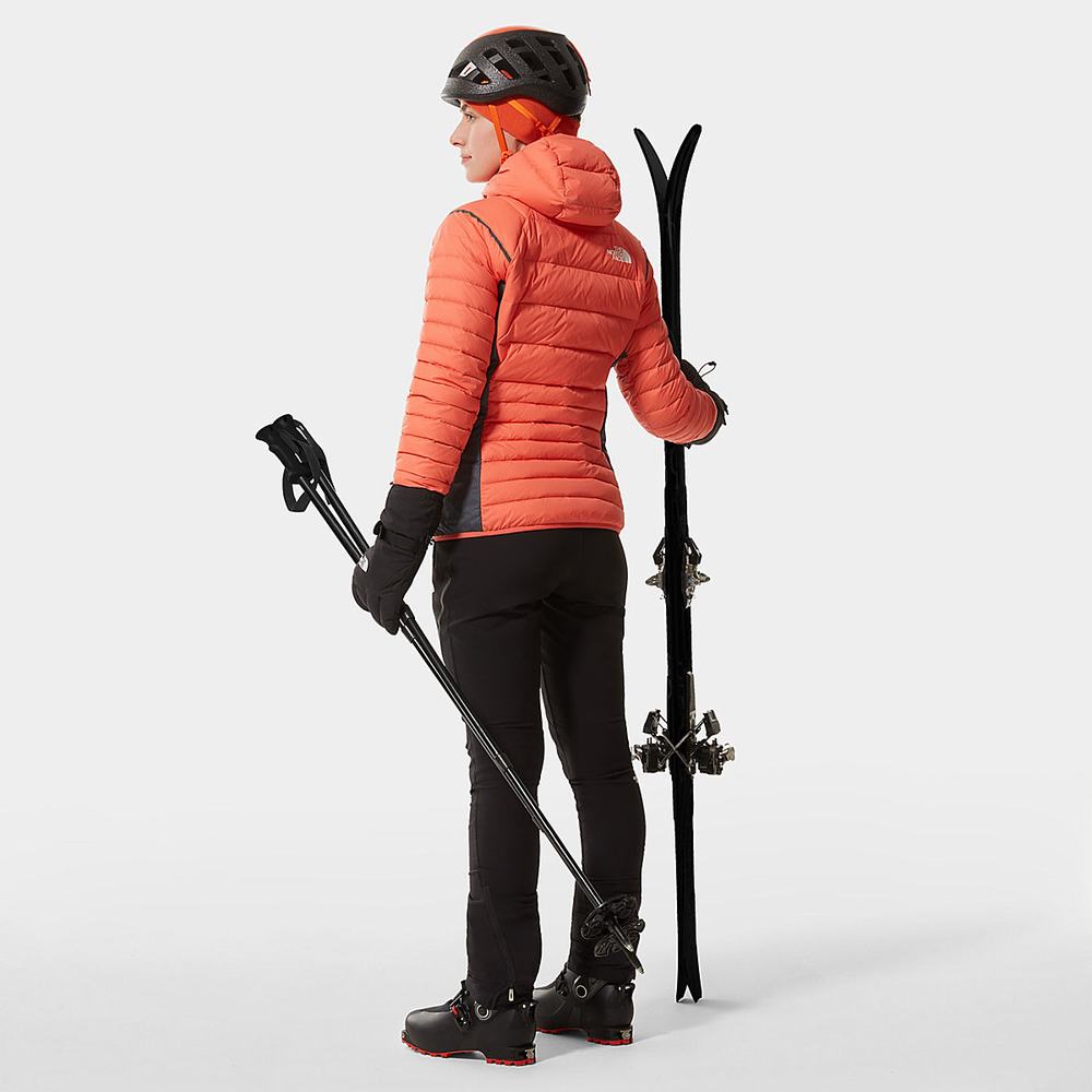 Bundy The North Face Speedtour Damske Oranžové | ELC-184536