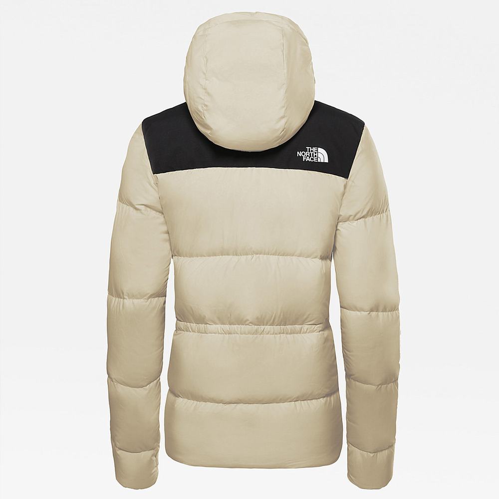Bundy The North Face Urban Damske Žlté | SHE-865012