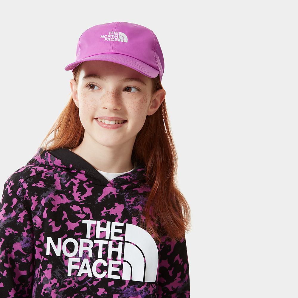 Caps The North Face 66 Klasické Tech Ball Chlapcenske Nachový | PNK-528403