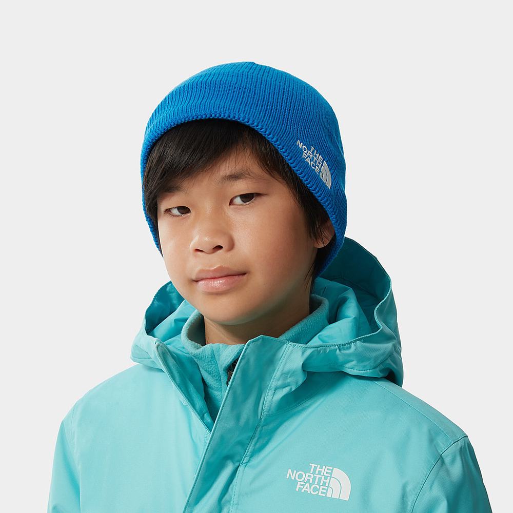 Ciapky The North Face Bones Recycled Beanie Chlapcenske Modre | TFA-216307