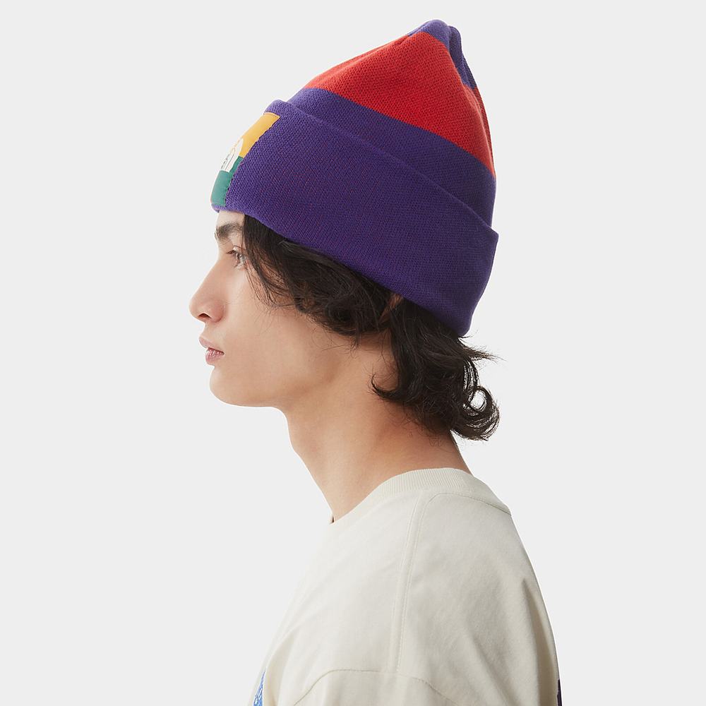 Ciapky The North Face Colourblock Pletené Beanie Damske Nachový | EVN-312057