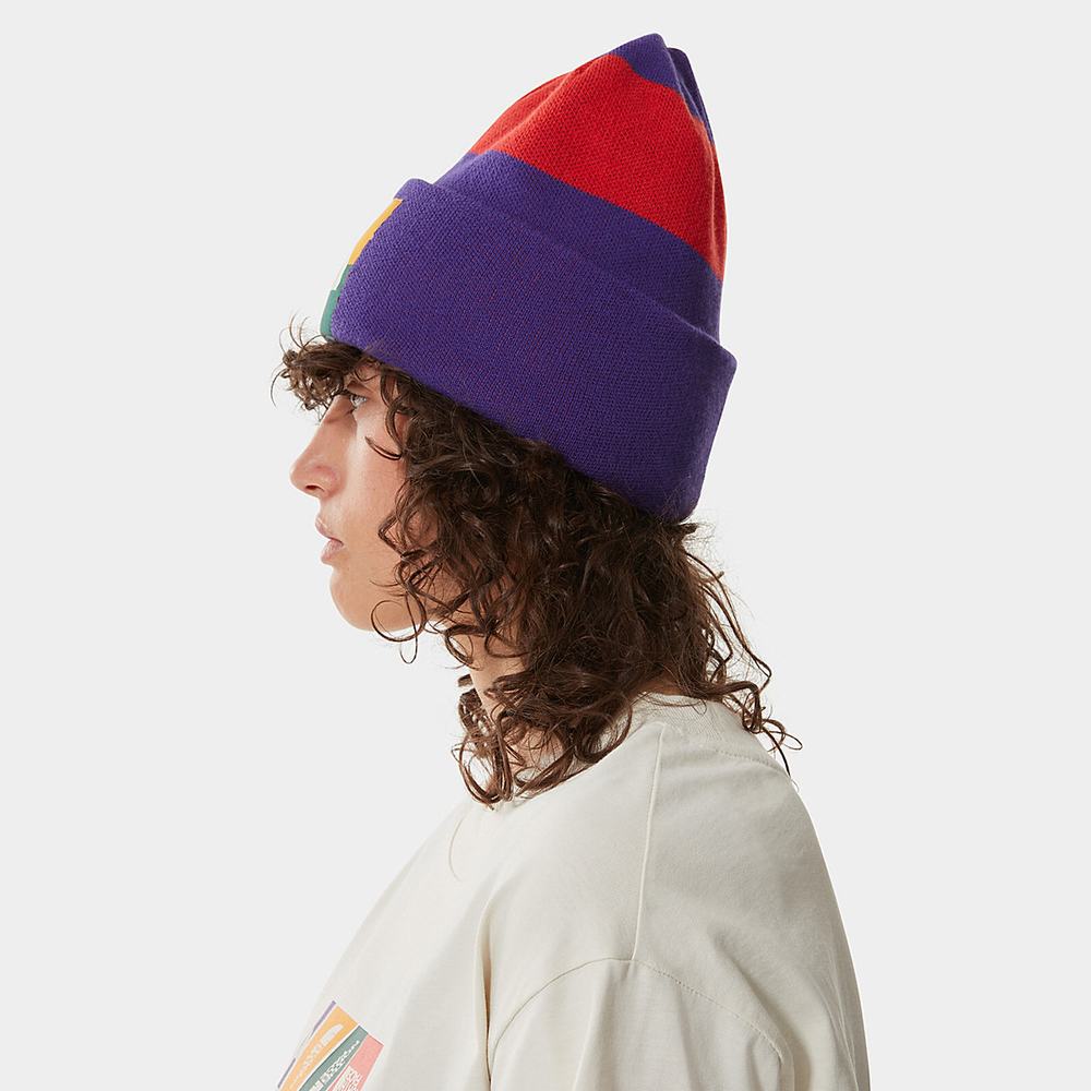 Ciapky The North Face Colourblock Pletené Beanie Panske Nachový | EXJ-471296