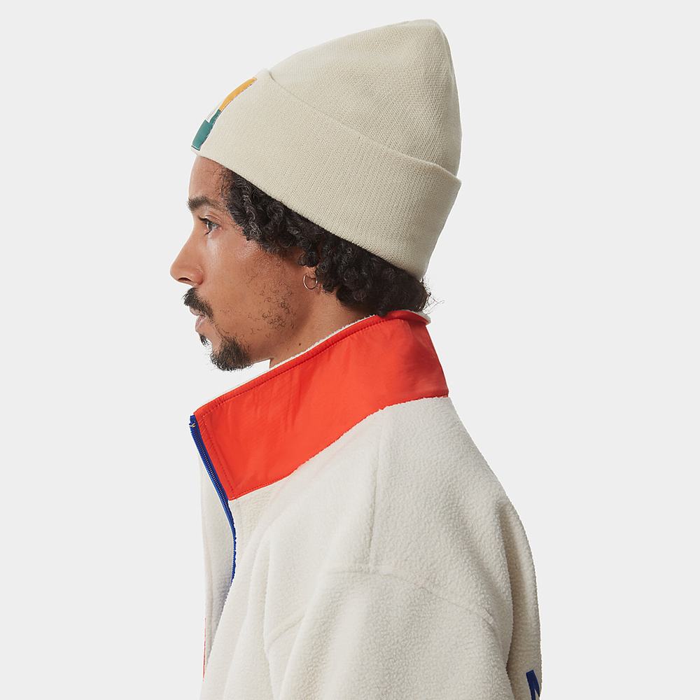 Ciapky The North Face Colourblock Pletené Beanie Damske Biele | HPV-093821
