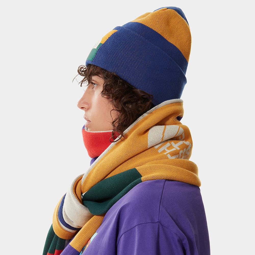 Ciapky The North Face Colourblock Pletené Beanie Damske Modre | JMV-408397