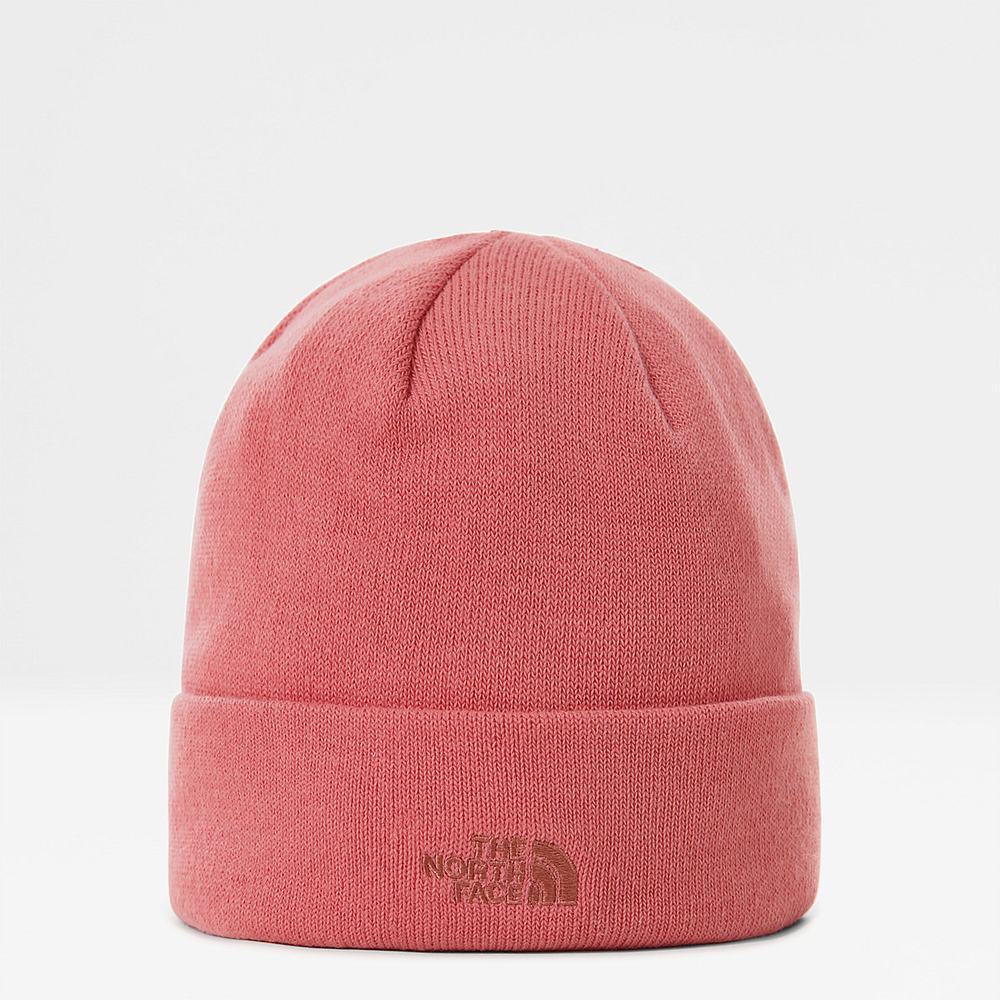 Ciapky The North Face Norm Shallow Beanie Damske Ruzove | LHW-612309